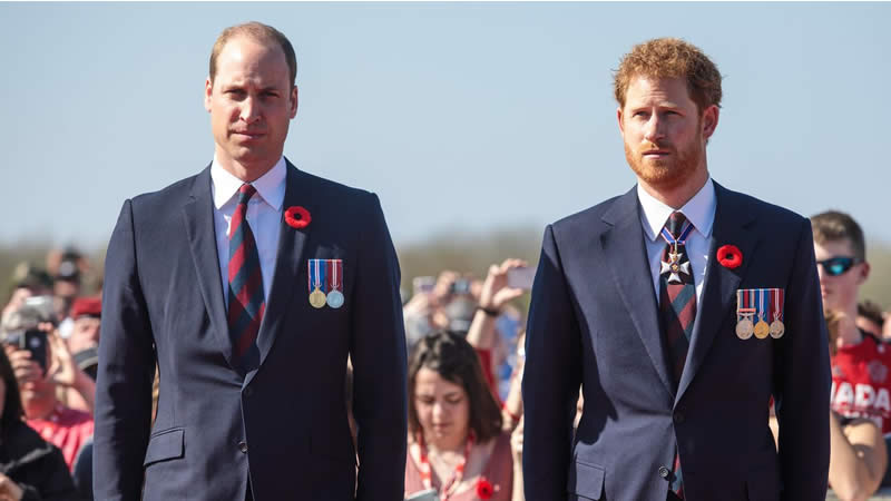Prince William and Prince Harry’s Relationship